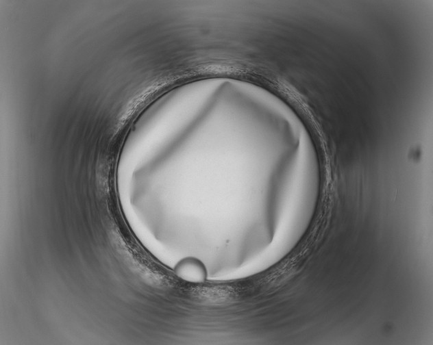 X0000115670106200912031405