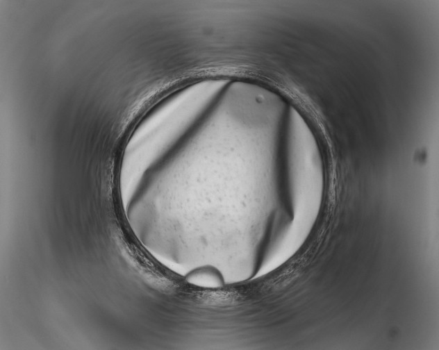 X0000115670107200912031405