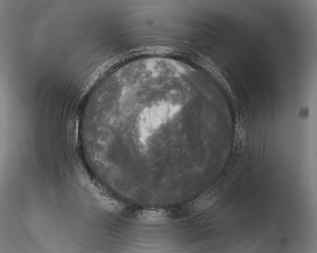 X0000115670110200912031405