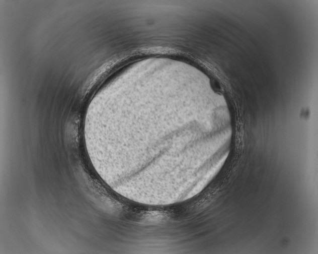 X0000115670111200912031405