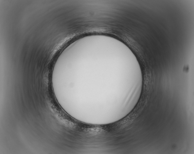 X0000115670112200912031405