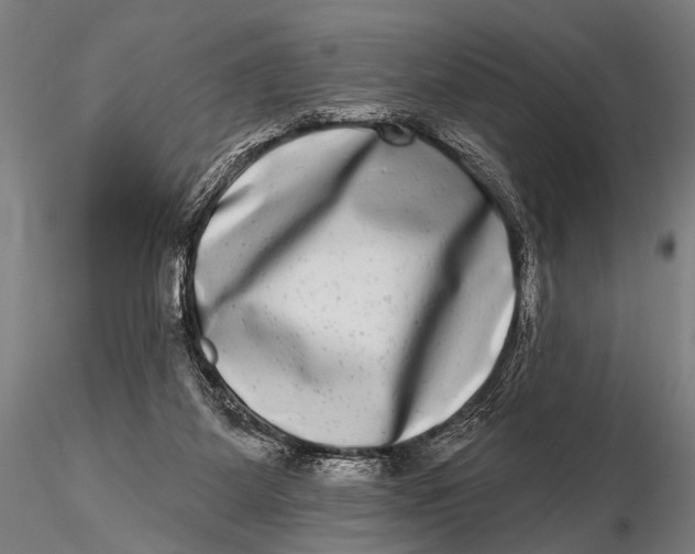 X0000115670115200912031405