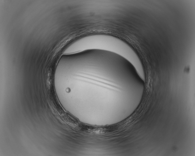 X0000115670116200912031405