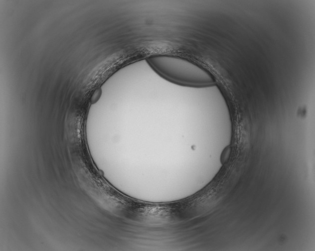 X0000115670117200912031405