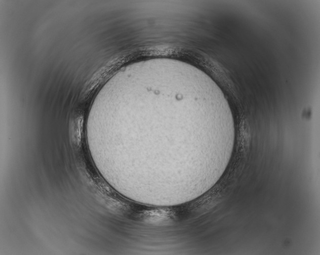 X0000115670118200912031405