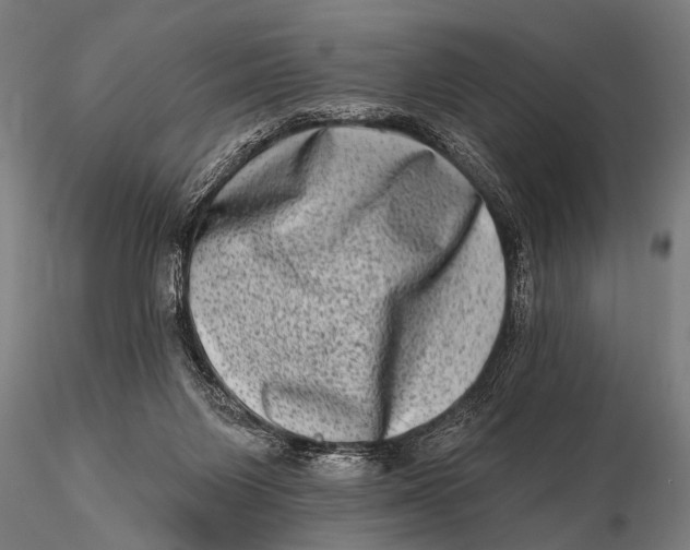 X0000115670119200912031405