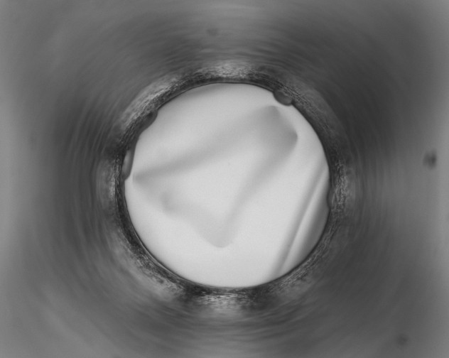 X0000115670120200912031405