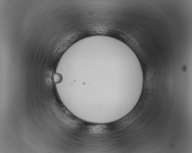 X0000115670122200912031405