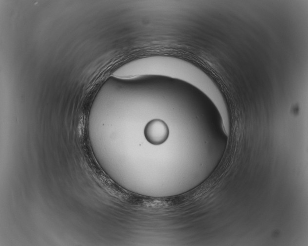 X0000115670125200912031405