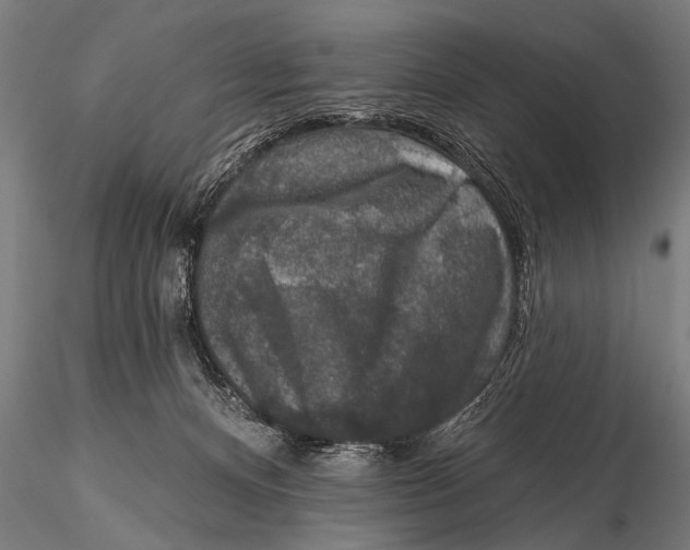 X0000115670128200912031405