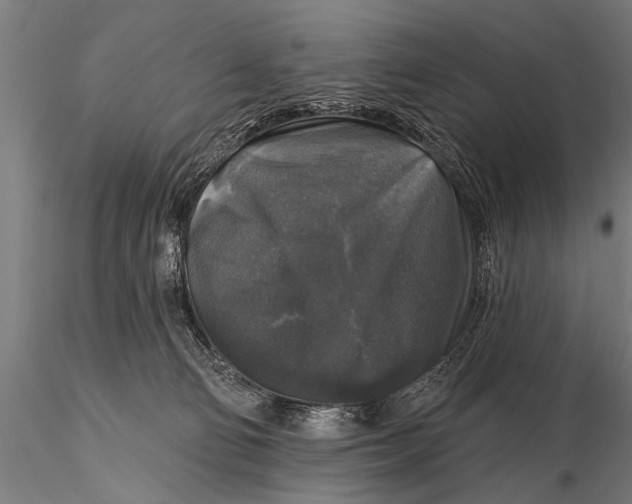 X0000115670130200912031405