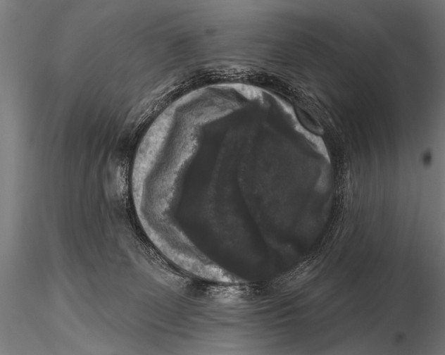 X0000115670131200912031405