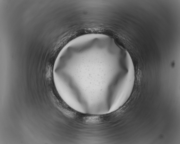 X0000115670132200912031405