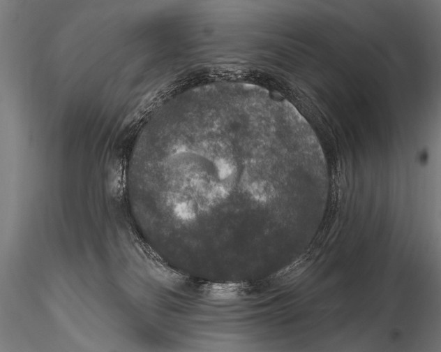 X0000115670134200912031405