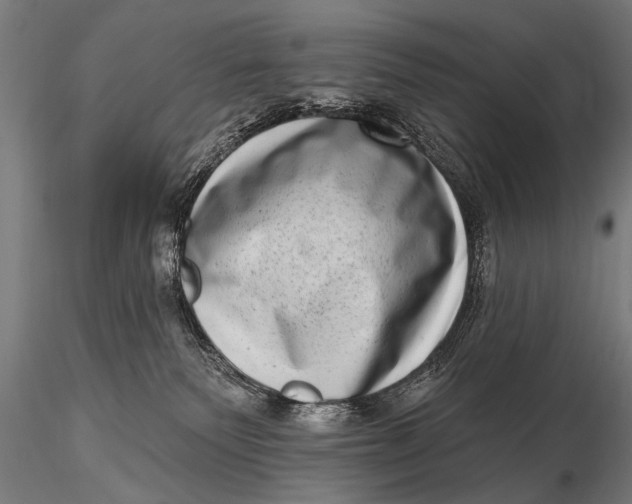 X0000115670135200912031405