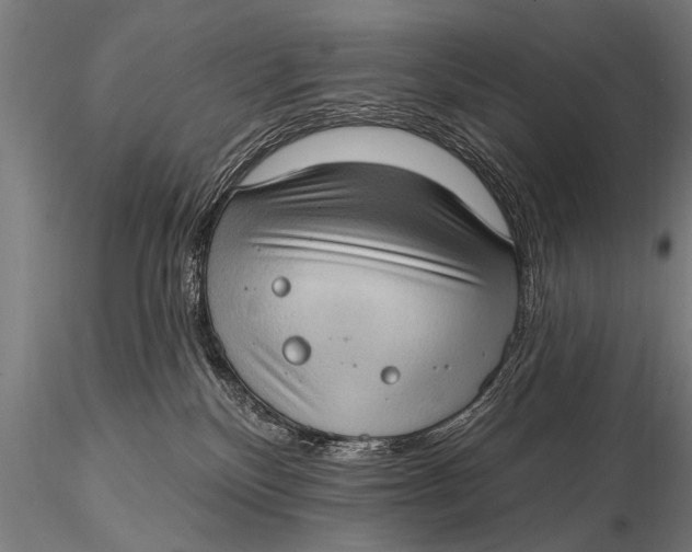 X0000115670136200912031405