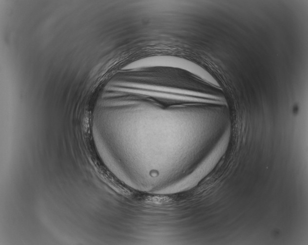 X0000115670137200912031405