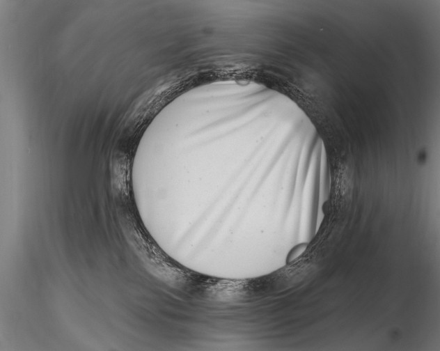 X0000115670138200912031405