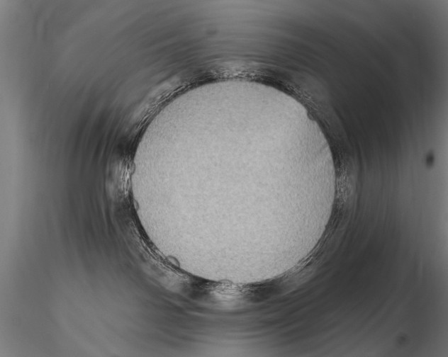 X0000115670142200912031405