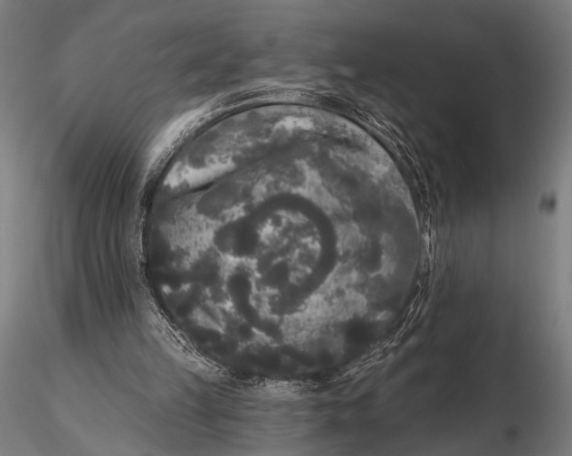 X0000115670149200912031404