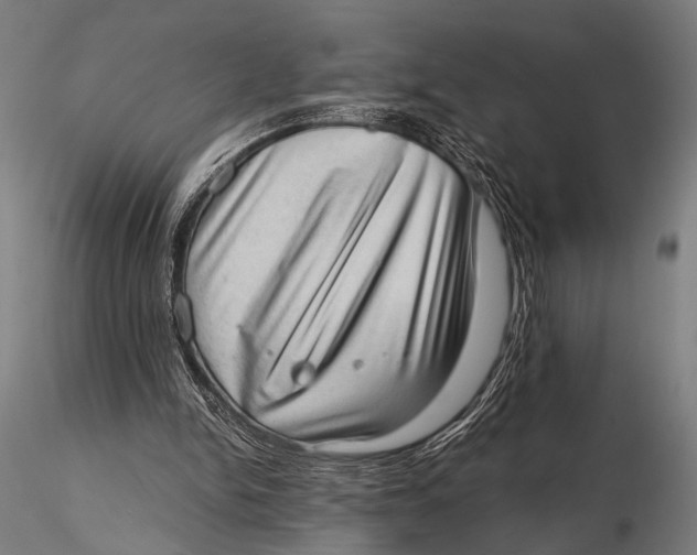 X0000115670150200912031404