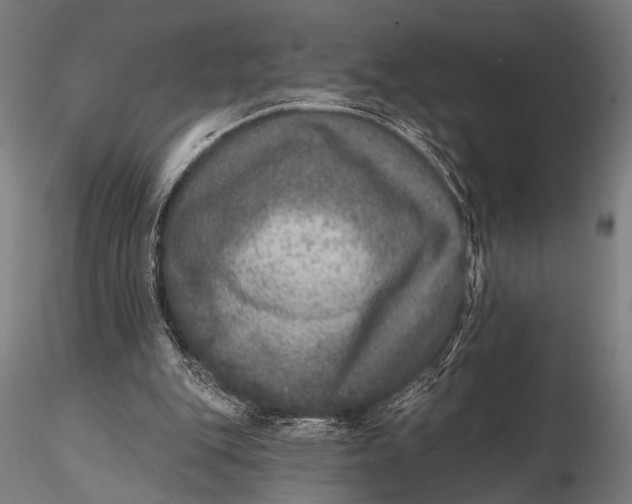 X0000115670151200912031404