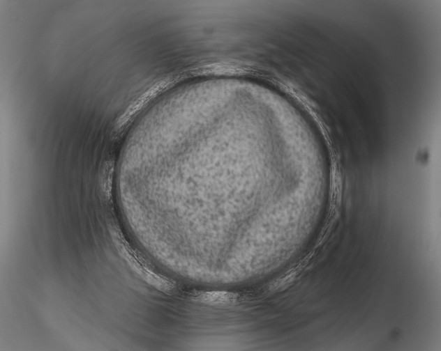 X0000115670153200912031404