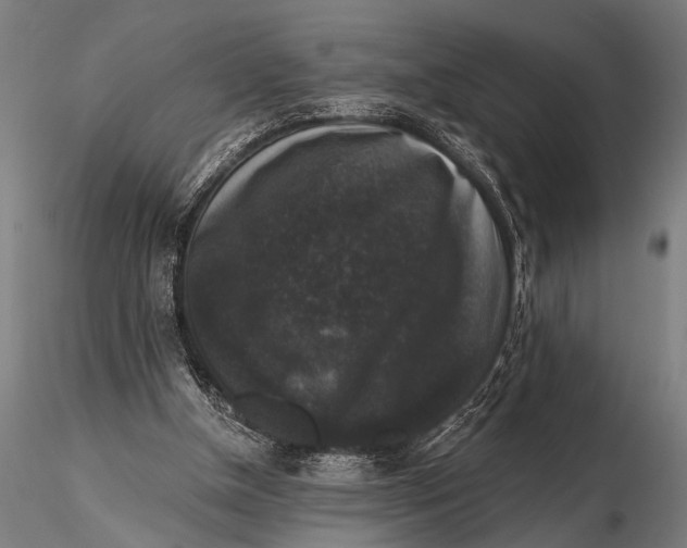 X0000115670154200912031404