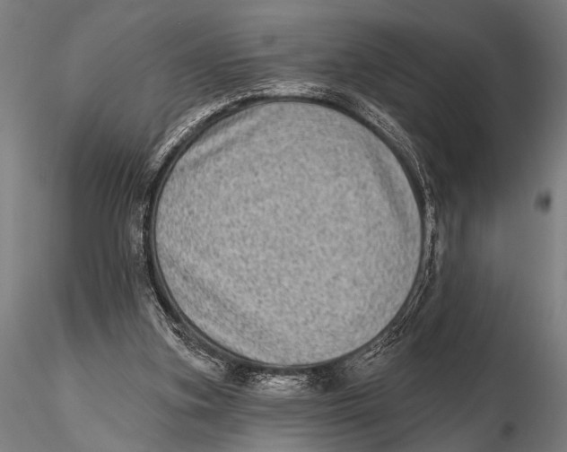 X0000115670155200912031404