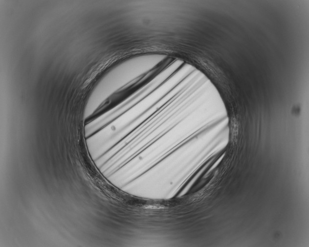 X0000115670158200912031404