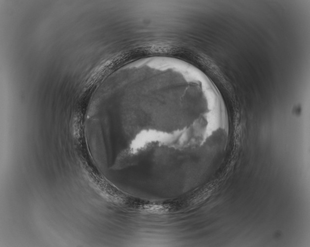 X0000115670161200912031404