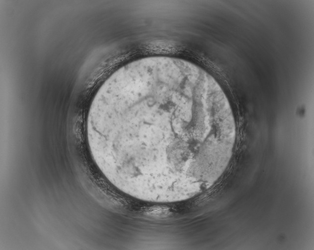 X0000115670162200912031404