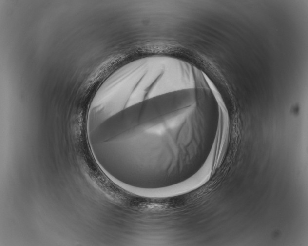 X0000115670163200912031404