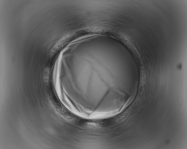 X0000115670167200912031404