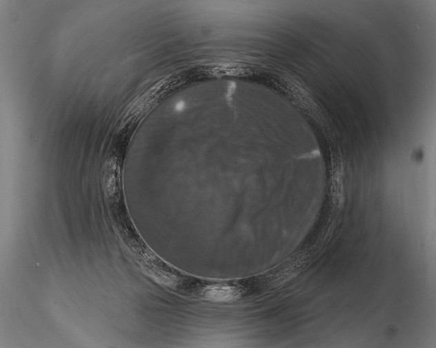 X0000115670169200912031404