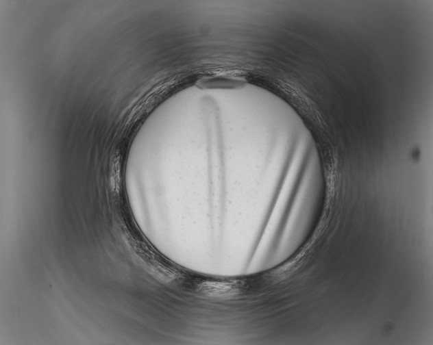 X0000115670170200912031404