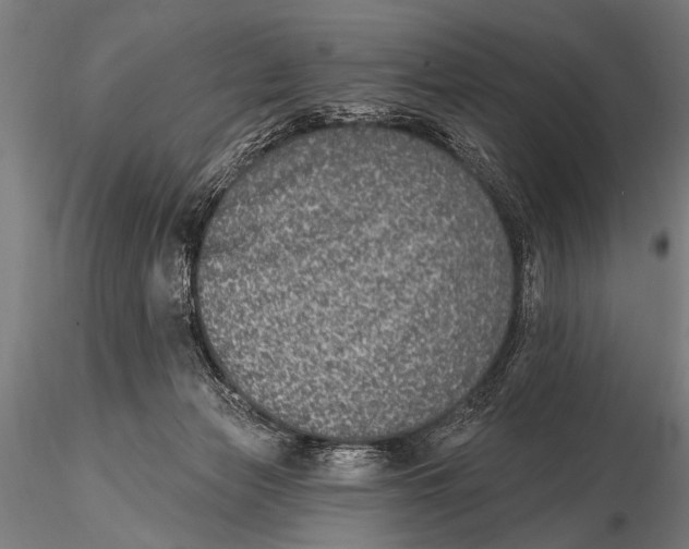 X0000115670173200912031404