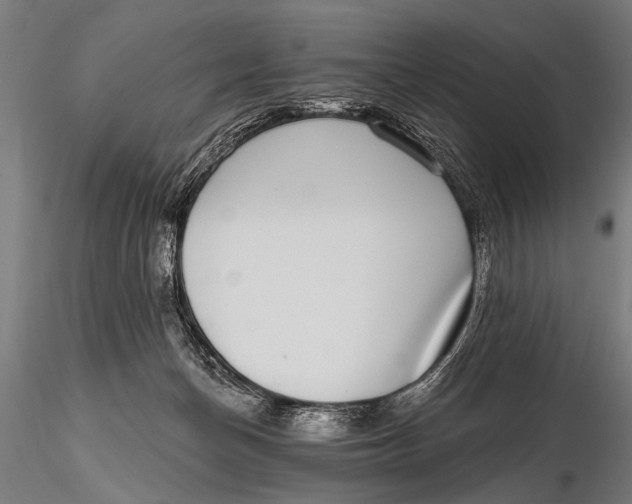 X0000115670174200912031404