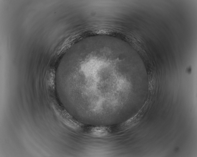 X0000115670175200912031404