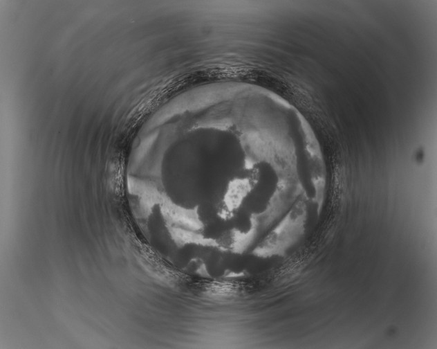 X0000115670177200912031405