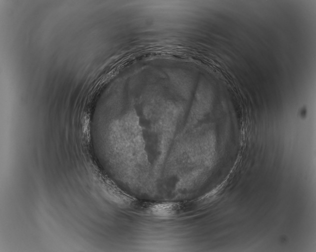 X0000115670178200912031405