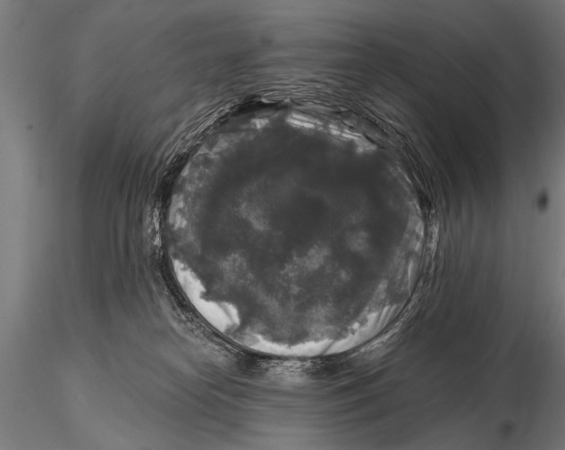 X0000115670182200912031405