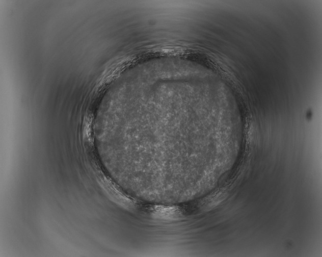 X0000115670185200912031405