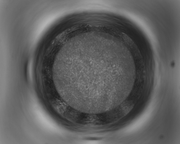 X0000115670189200912031405