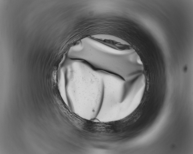 X0000115670190200912031405