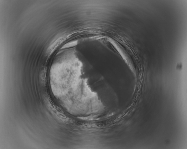 X0000115670194200912031404