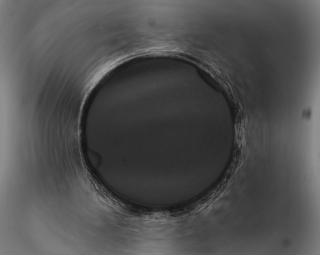 X0000115670196200912031404