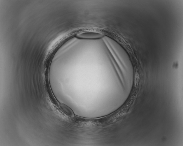 X0000115670197200912031404