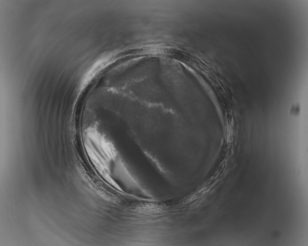 X0000115670198200912031404