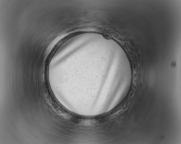 X0000115670200200912031404